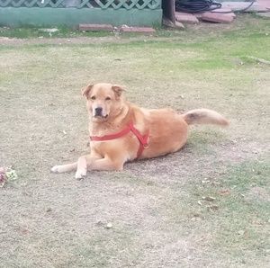 Meet your Posher, Ingrid